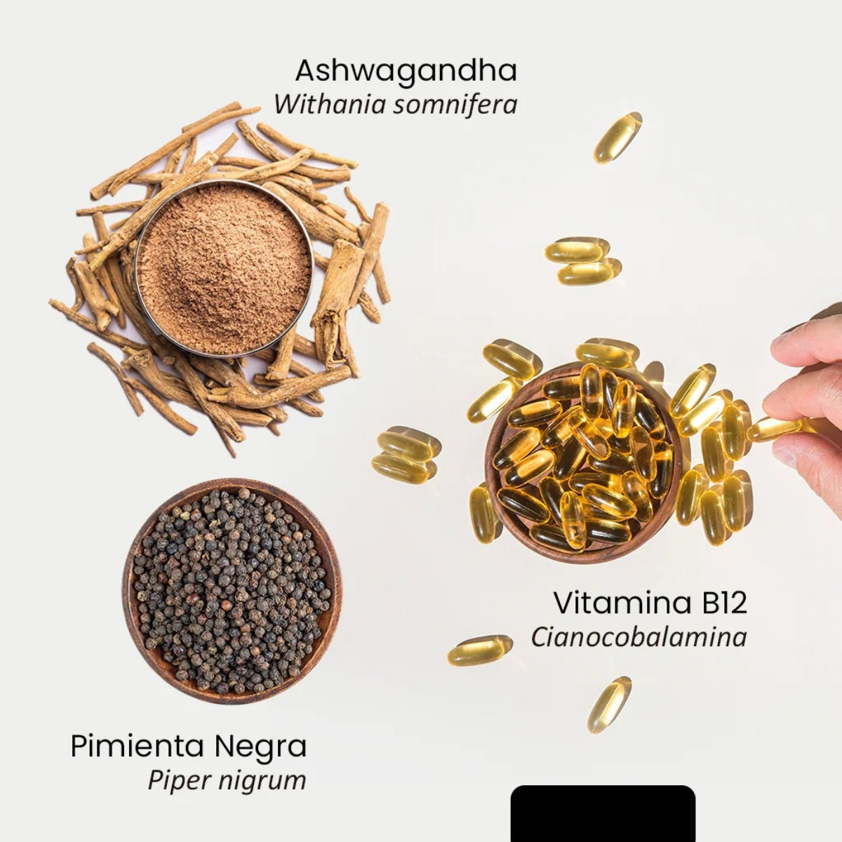 Ashwagandha 1000 mg Regula el Cortisol🌩️Alivia el estrés 🌿y la ansiedad🤯 - OFERTA ESPECIAL SOLO ESTA SEMANA 💊