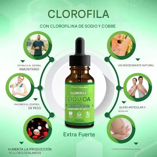 Gotas clorofila 🍃– Antioxidante todo en uno Refuerzo inmunológico, aumento de energía, apoyo a la digestión